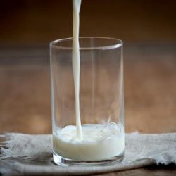 Por que o leite não é mais considerado um alimento tão saudável